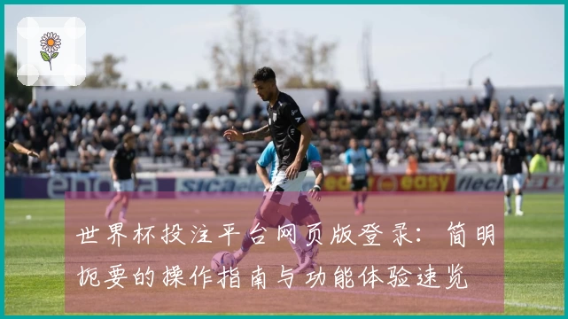 世界杯投注平台网页版登录：简明扼要的操作指南与功能体验速览