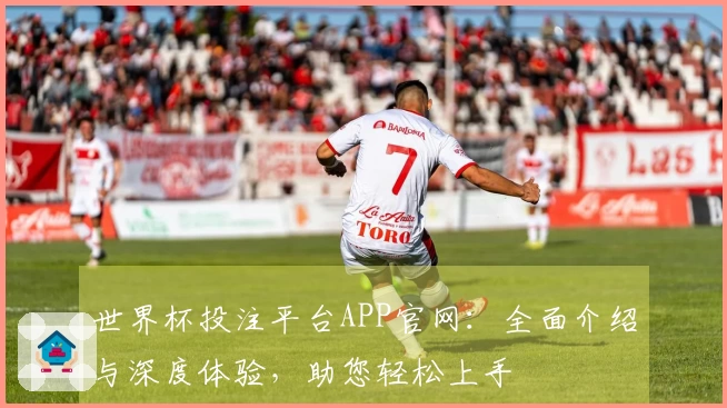 世界杯投注平台APP官网：全面介绍与深度体验，助您轻松上手