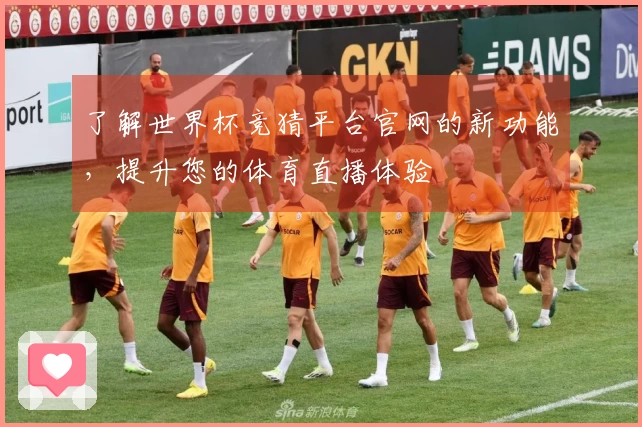 了解世界杯竞猜平台官网的新功能，提升您的体育直播体验