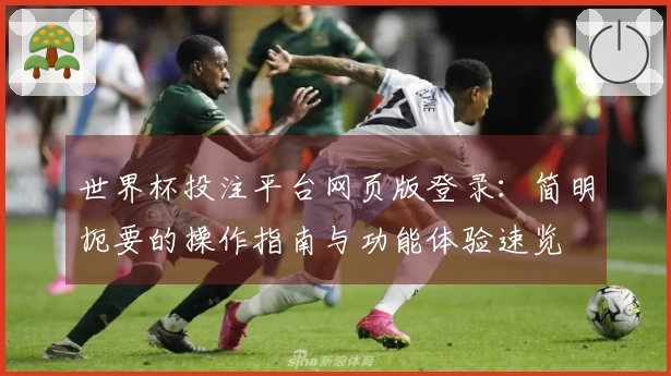 世界杯投注平台网页版登录：简明扼要的操作指南与功能体验速览