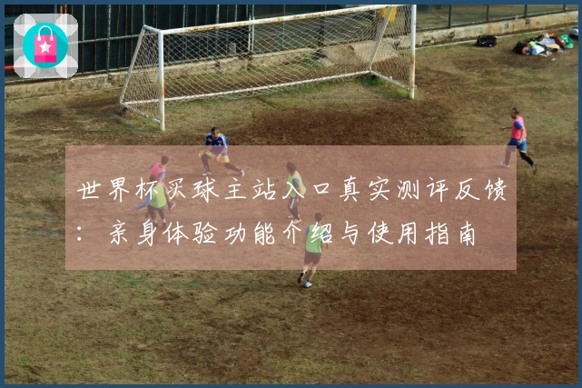 世界杯买球主站入口真实测评反馈：亲身体验功能介绍与使用指南